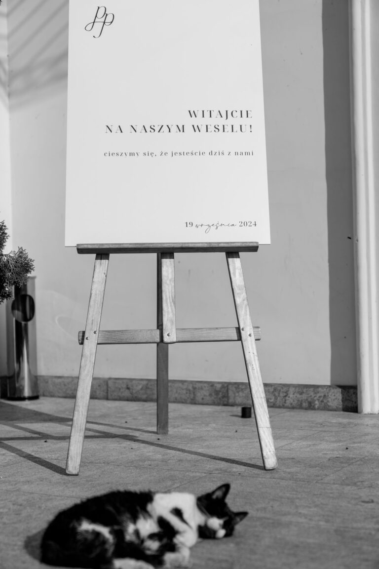 leniwy kotek przy tablicy witającej gości przed wejściem do pałacu suchary